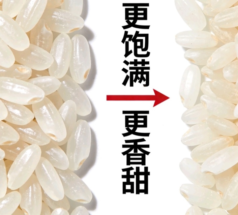 【优选】大米稻花香大米产地直发量大从优欢迎选购