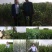 梨树苗安徽嫁接品种梨树苗品种齐全合同种植技术指导