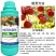 保花保果农药果树促花催花防三落促座果膨大果实蔬菜果树叶面