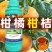 施力龙柑橘专用叶面肥砂糖桔橙子柚子保花靓果着色增甜氨基酸