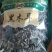 东宁黑木耳头茬木耳干货口感肉透朵大瓣厚，一手货源