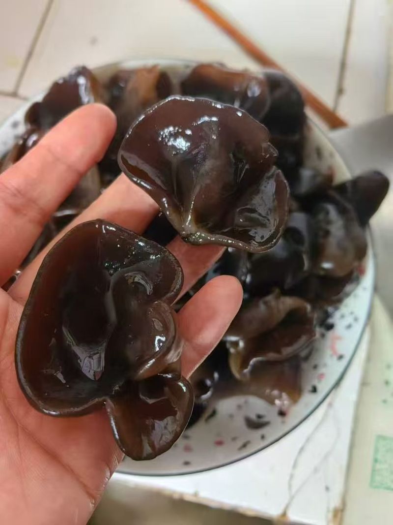 东宁黑木耳头茬木耳干货口感肉透朵大瓣厚，一手货源