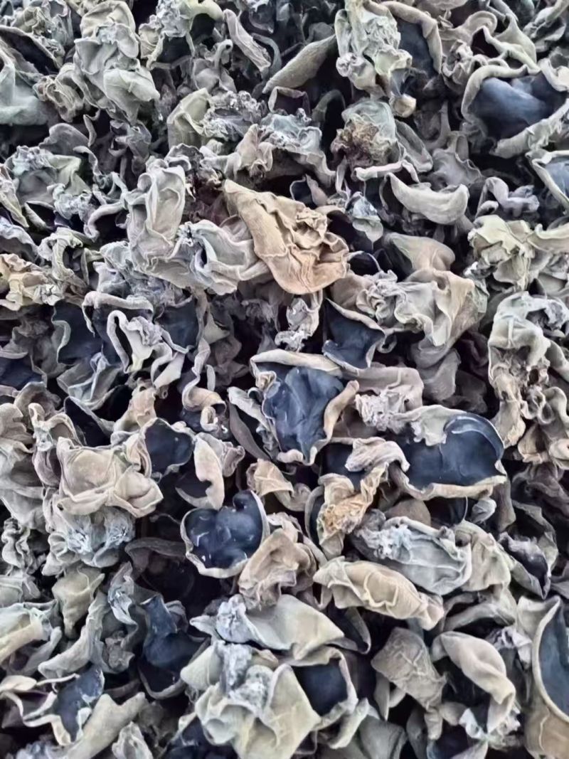 东宁黑木耳头茬木耳干货口感肉透朵大瓣厚，一手货源