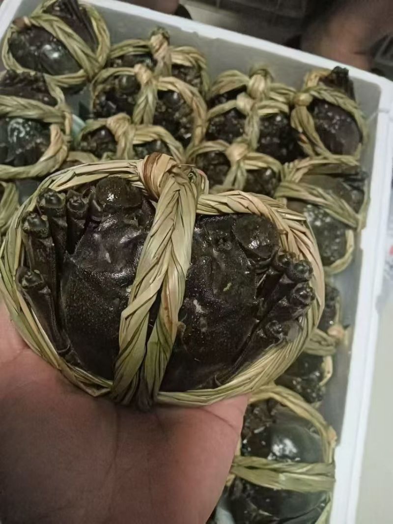 大闸蟹