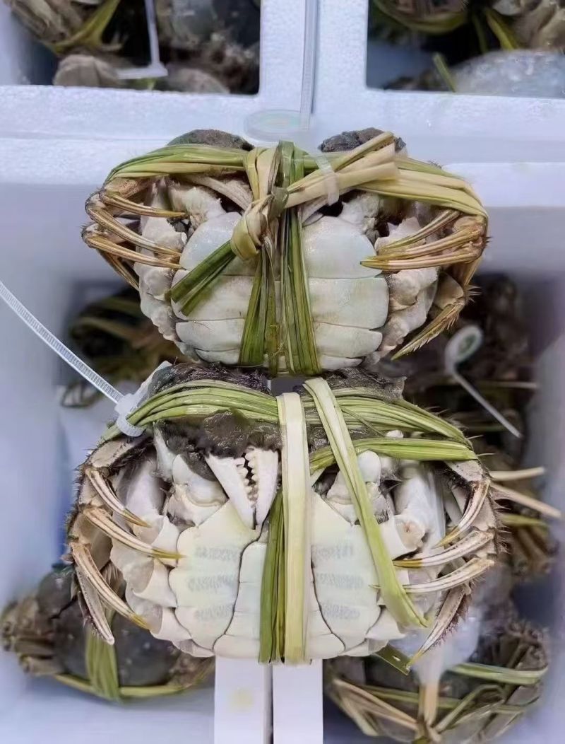 大闸蟹