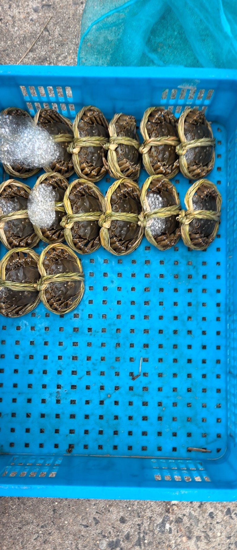 大闸蟹