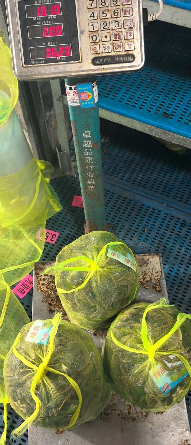 大闸蟹
