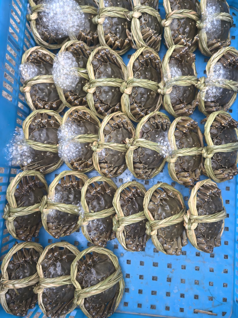 大闸蟹