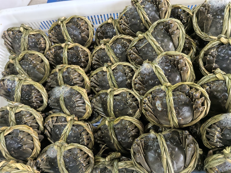 大闸蟹