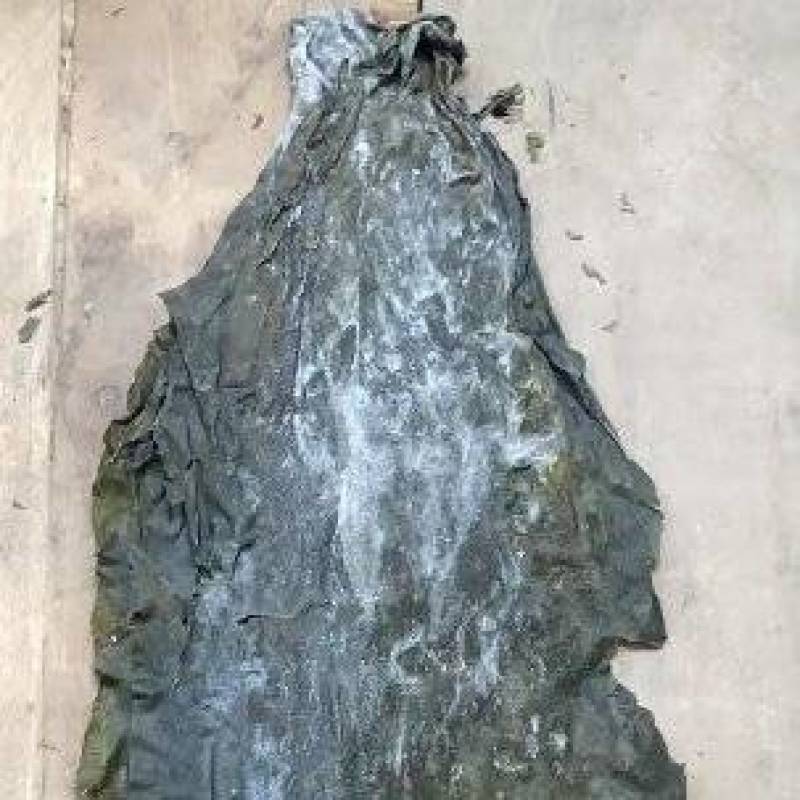 长岛精品海带四级菜