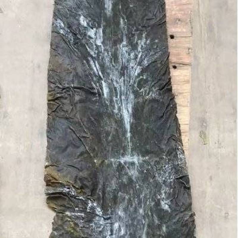 产地直发长岛精品海带五级菜