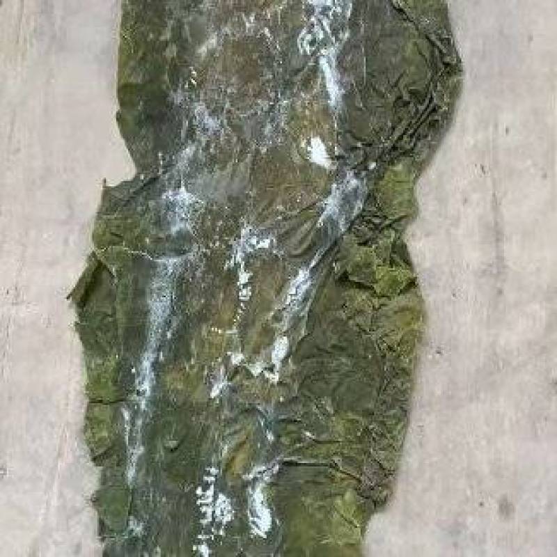 产地直发长岛精品海带二剪板