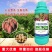 根茎块茎姜蒜山药红薯土豆中药材人参地下膨大叶面肥专用防裂