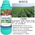 根茎块茎姜蒜山药红薯土豆中药材人参地下膨大叶面肥专用防裂