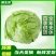 生菜球/球生菜/山东产区直发/大量现货/量大价优
