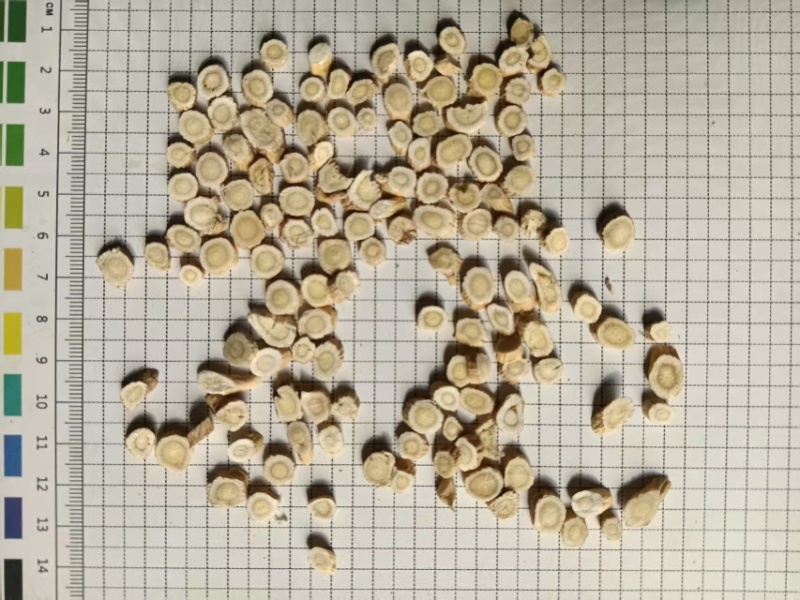 【热卖】内蒙古滋补品黄芪片品质好味道浓郁欢迎电联