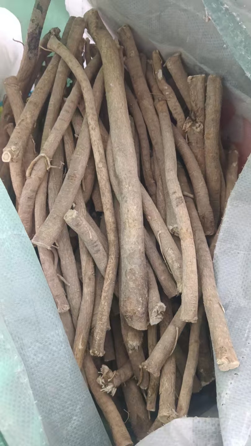 【热卖】内蒙古黄芪条生黄芪滋补品野生黄芪条产地直发欢迎电联