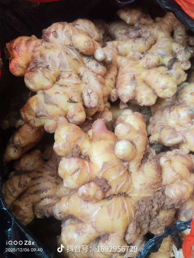 生姜