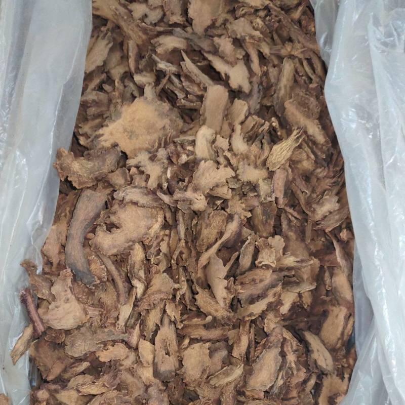锁阳