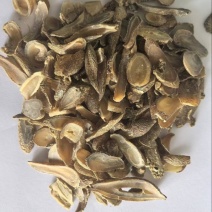 郁金通货，山东产地发，支持视频验货，量大从优