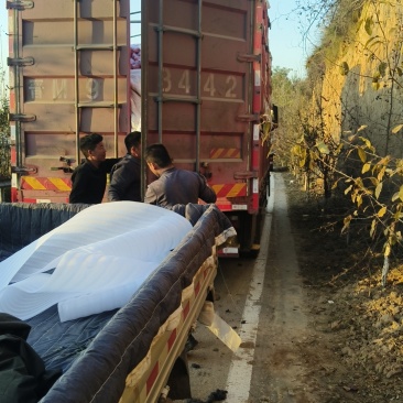 山西吉县红富士苹果产地代办，大量冷库货源代发