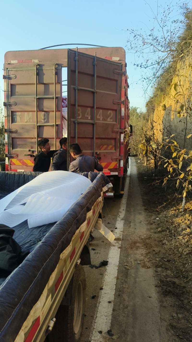 山西吉县红富士苹果产地代办，大量冷库货源代发