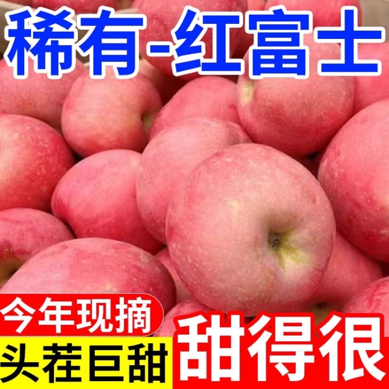 2026陕西咸阳膜袋红富士苹果/脆甜可口/个大颜色好