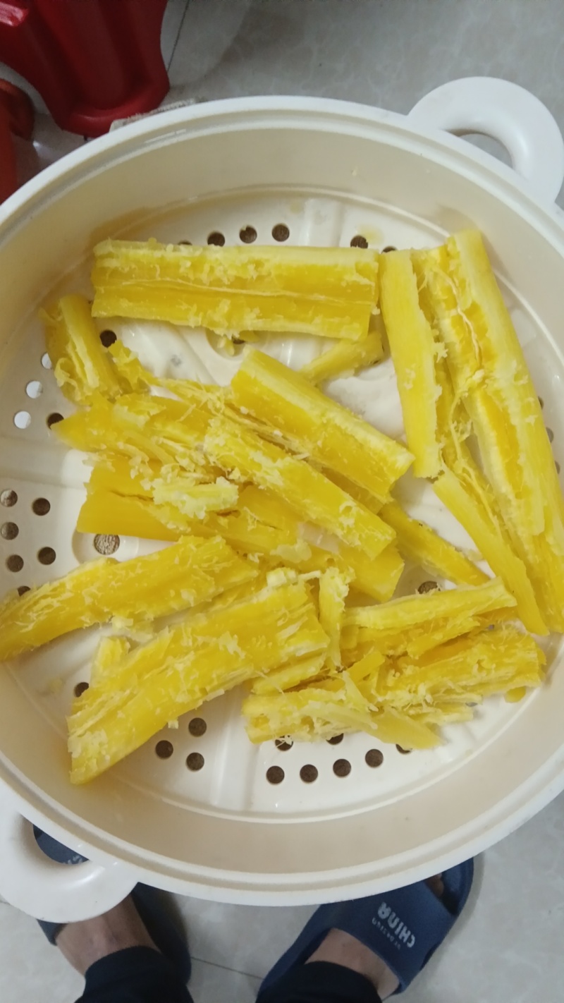 华南九号黄心木薯