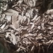 白蔹干货