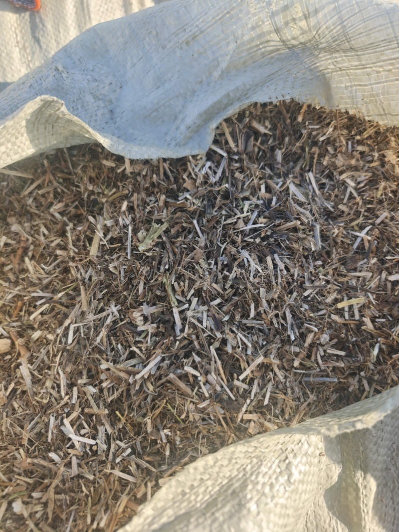 花生秧草段大量供应牛羊草料一手货源质量保证