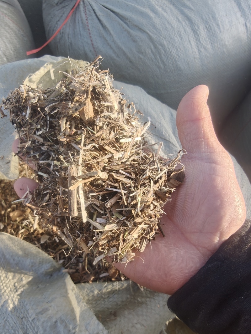 花生秧草段大量供应牛羊草料一手货源质量保证