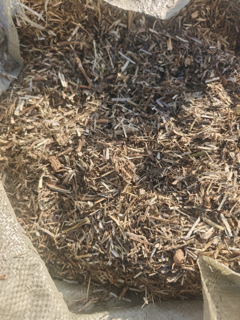 花生秧草段大量供应牛羊草料一手货源质量保证