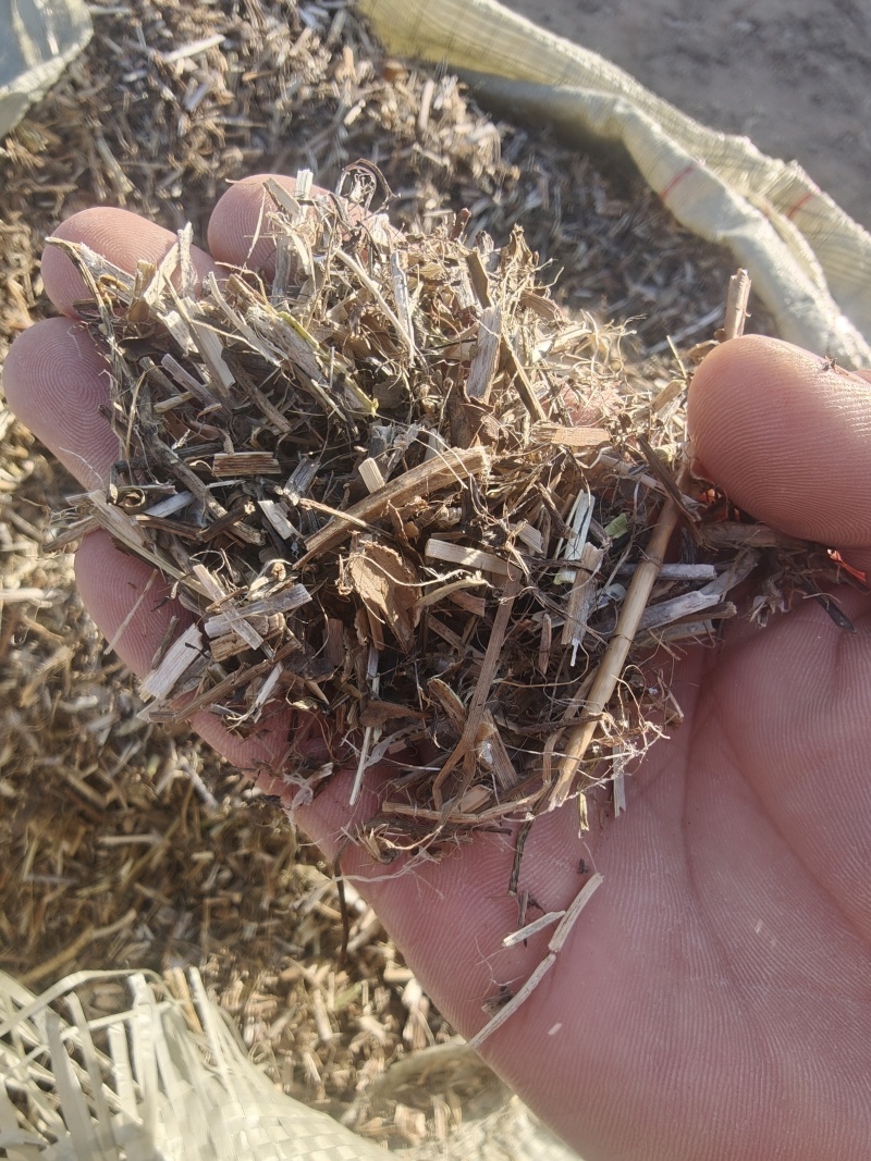 花生秧草段大量供应牛羊草料一手货源质量保证