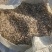 花生秧草段大量供应牛羊草料一手货源质量保证