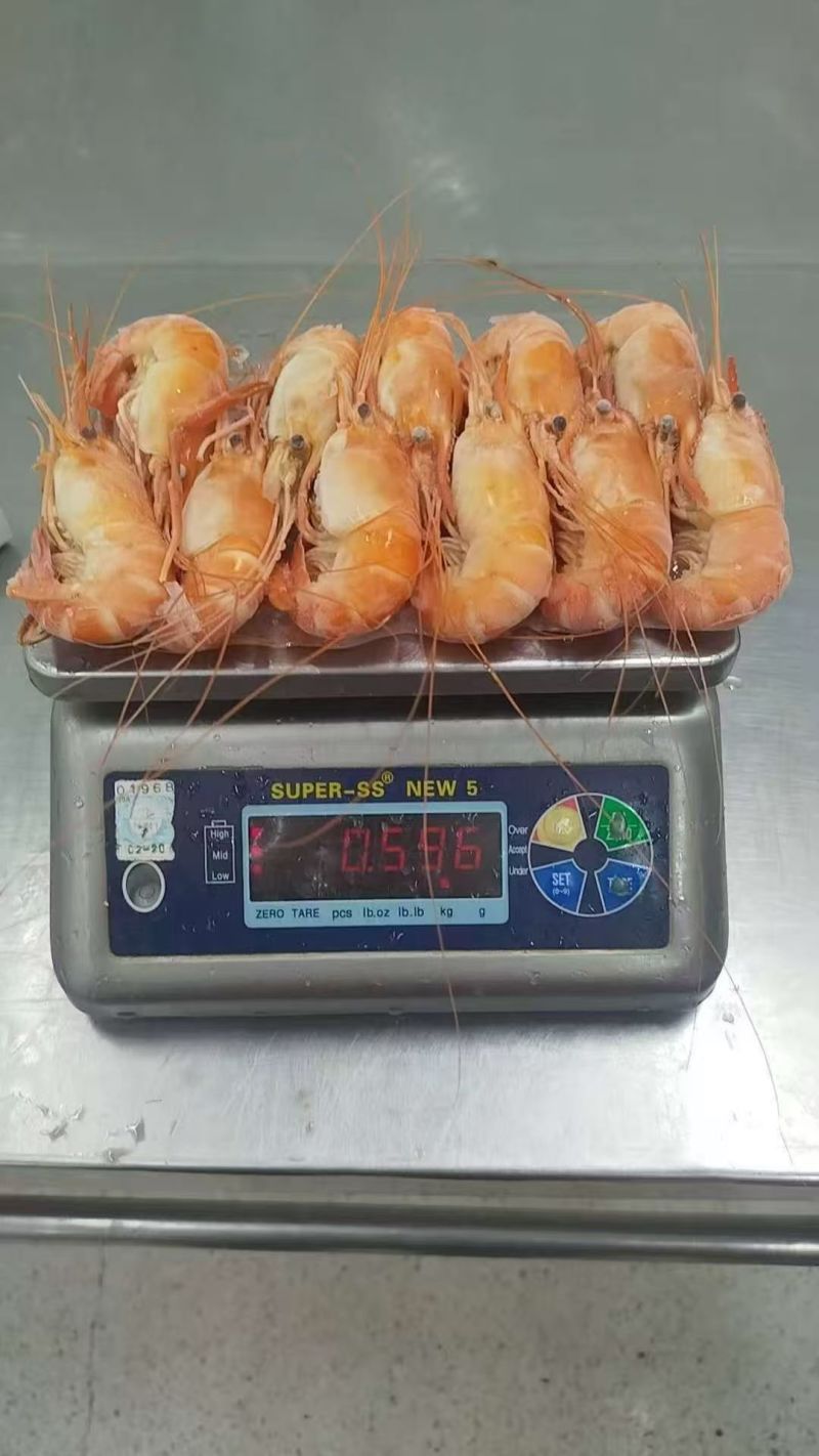 罗氏沼虾冷冻发货可视频看货对接商超餐饮批发