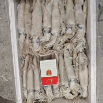 全籽笔管，公体笔管，大中小各种规格，公体母体都有