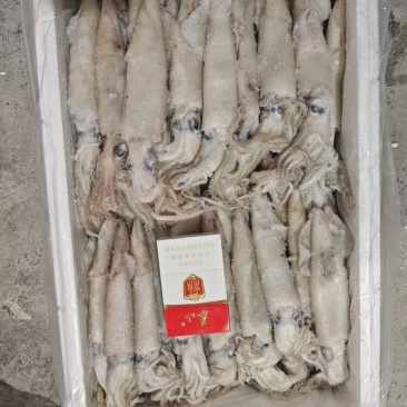 全籽笔管，公体笔管，大中小各种规格，公体母体都有