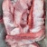 精修面肉