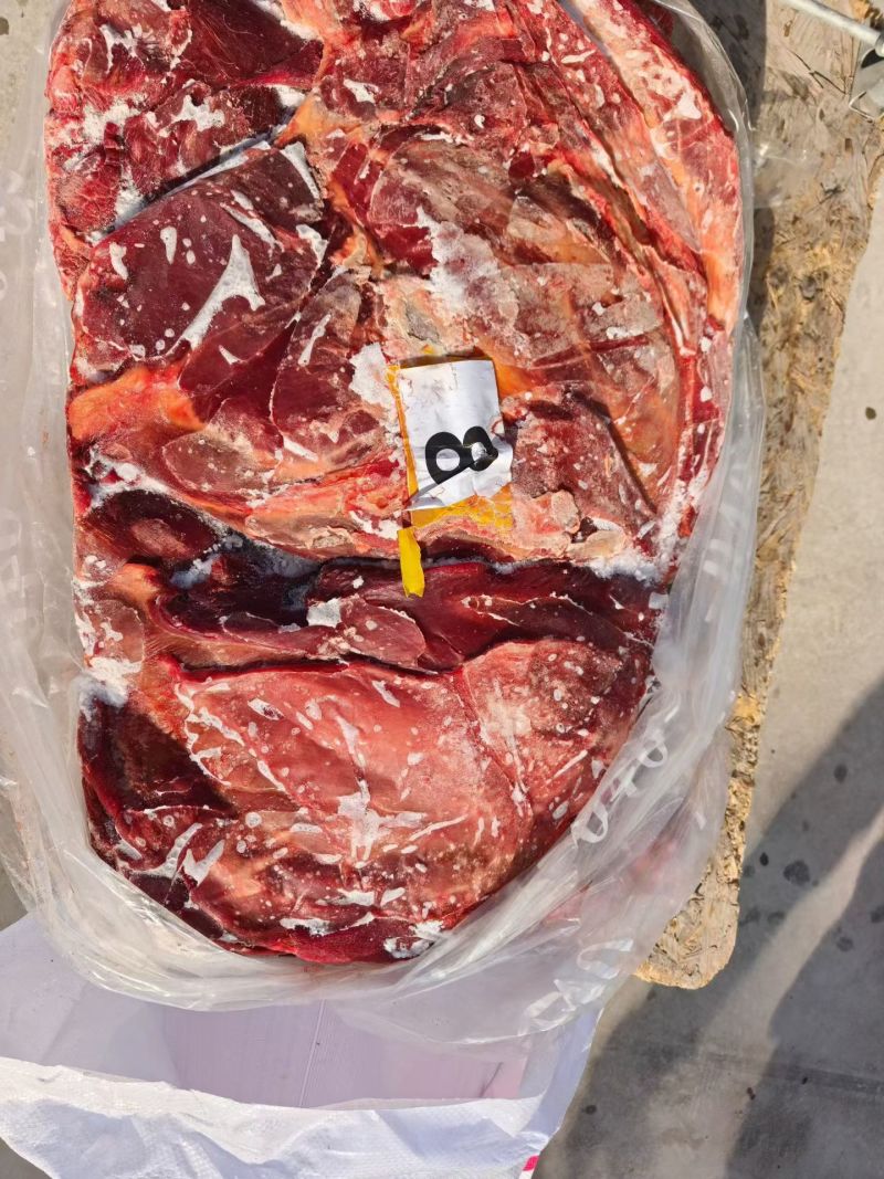 精修马肉五分体精品货一级棒，有需要的老板请联系，价格美丽