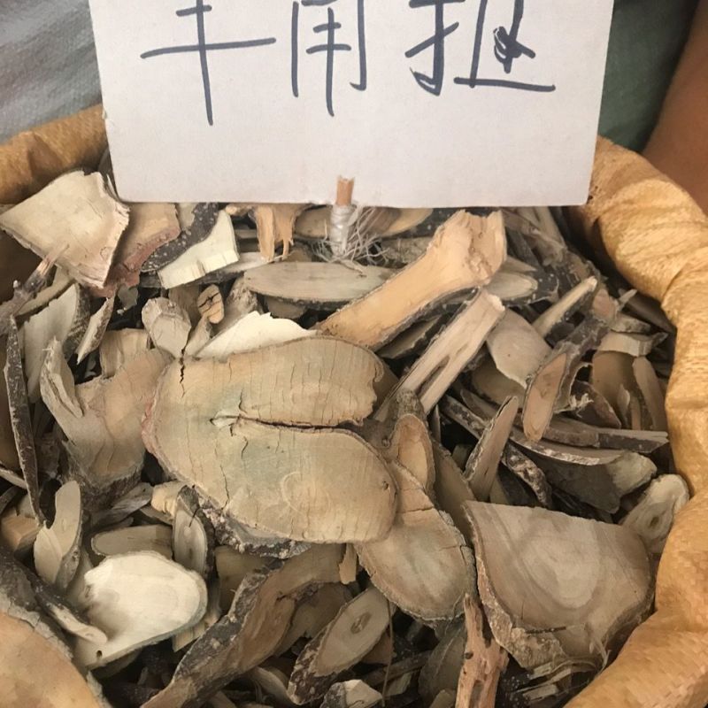 野生药材羊角拗羊角扭羊角树外用跌打药材生品