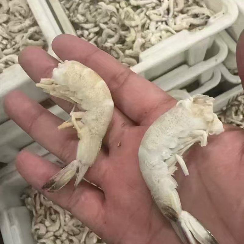 南美白无冰虾尾对虾白大量有货电商私域团购！！！！！！！！