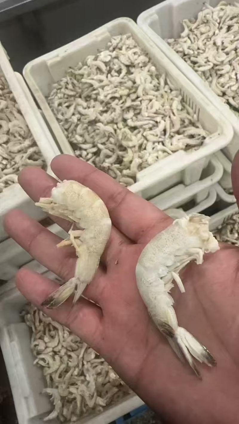 南美白无冰虾尾对虾白大量有货电商私域团购！！！！！！！！