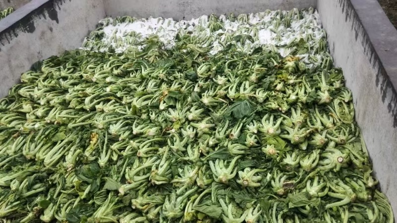 惠州梅菜惠州梅干菜原产地发货品质保证梅菜扣肉