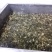 惠州梅菜惠州梅干菜原产地发货品质保证梅菜扣肉