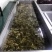 惠州梅菜惠州梅干菜原产地发货品质保证梅菜扣肉
