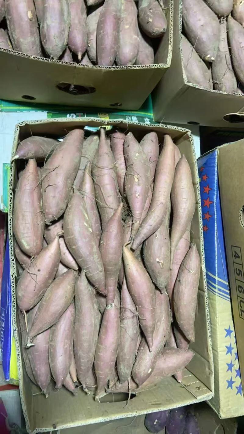 内蒙哈密红薯，产地直发，保质保量，诚信经营，欢迎选购