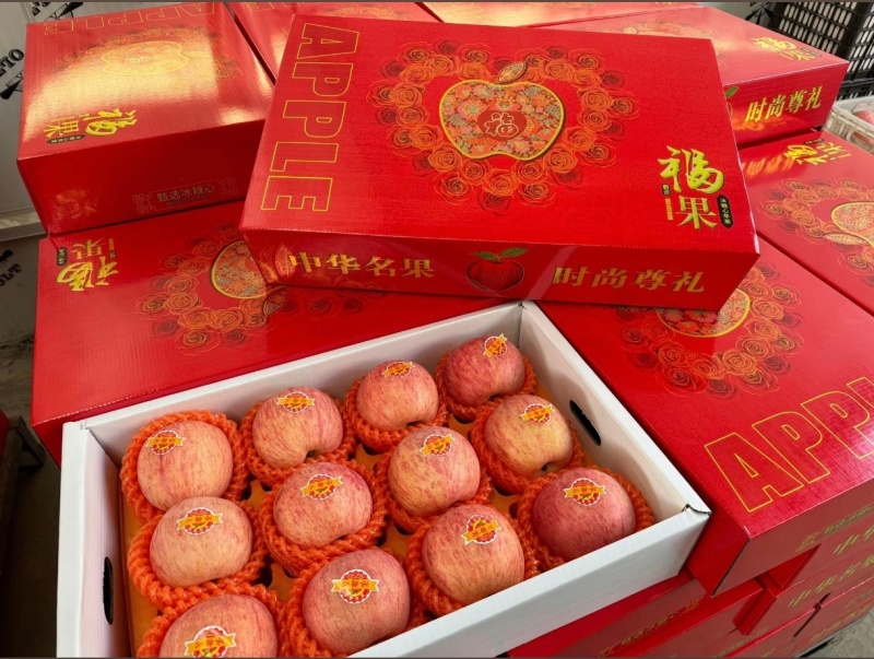 山东礼盒红富士苹果元旦春节备货礼盒版本齐全应有尽有