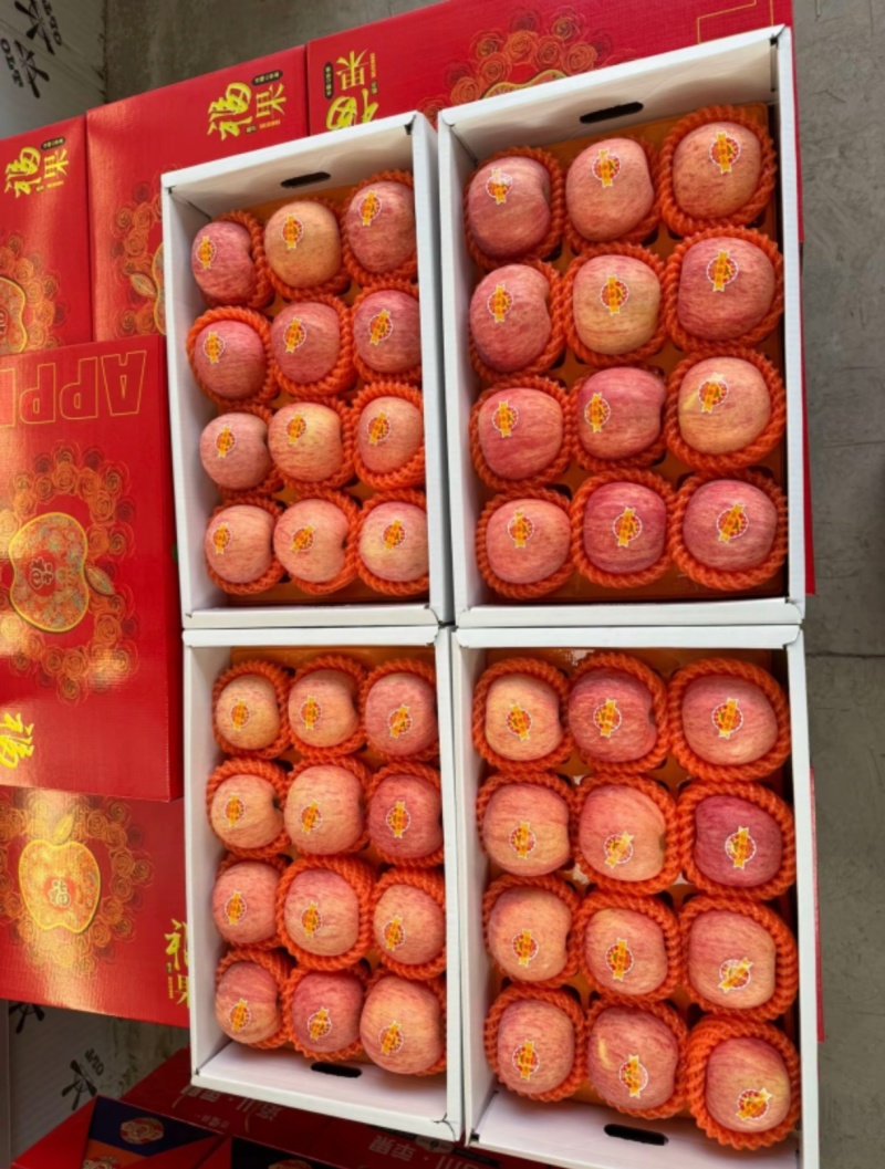 山东礼盒红富士苹果元旦春节备货礼盒版本齐全应有尽有