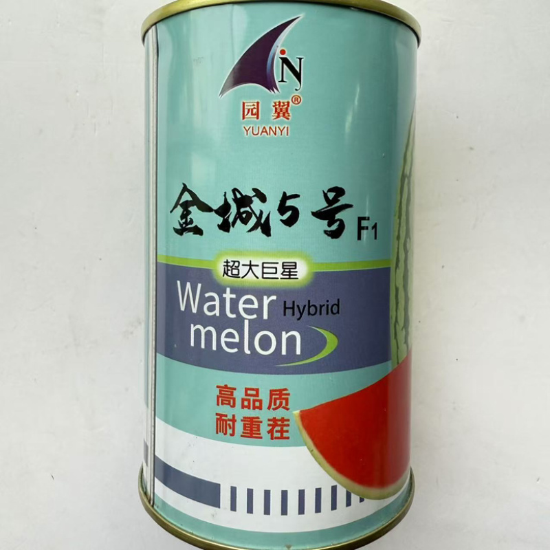 金城五号