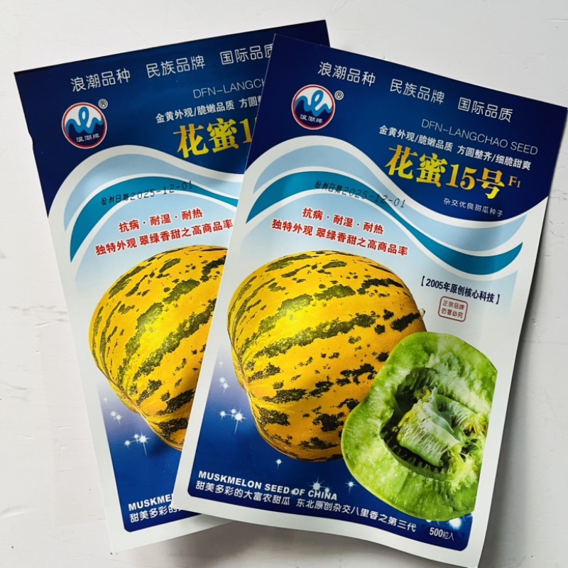 花蜜15号甜瓜品种早熟花皮甜瓜种子大田种植